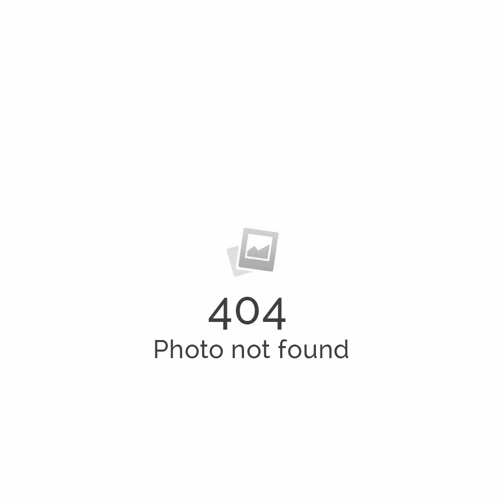 Standard-Ten Pages Website-$599 ONLY